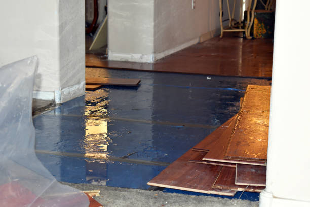 Professional Basement Flood Cleanup technician working in Bon Secour, AL